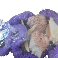 Nautical Luau/Beach Party Decoration Kit Purple Lei Garland Netting Seashells