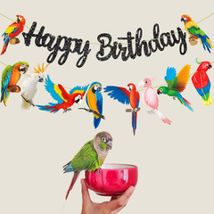 Parrot Birthday Party Banners – Tropical Bird Decoration Toucan Cutout for Hawai