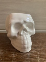 5x Gothic Human Skull Flower Pot Home Garden Succulent Plant Halloween Planter