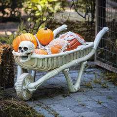 48 3/4″ Skeleton Wheelbarrow Halloween Decoration – Morris Costumes