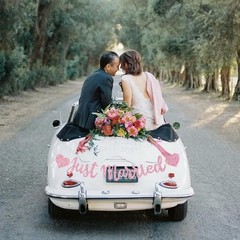 Pre-Strung Pink Just Married Banner – Glittery Party Decor for All Occasions