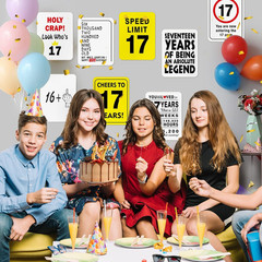 17Th Birthday Party Decorations – 9PCS Wall Signs Funny Tags for Teenagers 17 Ye