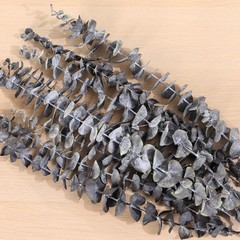 16 Pcs Dried Eucalyptus Stems, 17» Natural Leaves Z-black