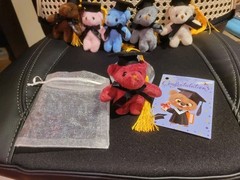 One Mini Teddy Keychain Plush Red Graduaction Bears With Card & White Gift Bag