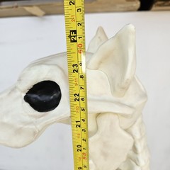 Large Crazy Bonez Skeleton Wolf Halloween Decoration Poseable Static Display Pro