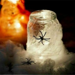 2 Pack Stretchable Spider Web + 2 Fake Spiders Halloween Party Decor Cobweb Prop
