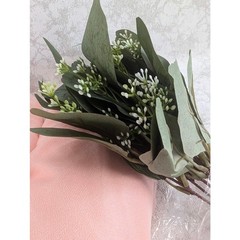 New 16 Pc Blush Pink Chiffon Chair Sash Set Wedding Decor Eucalyptus Ribbon