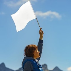 12Pcs 8×12 Inch Solid Flags Small Blank Sublimation Flags on Wood Stick White