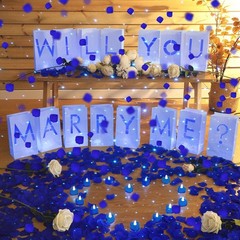2051 Pcs Proposal Decorations Kit 15 Will You Marry Me Sign Luminary Paper Ba…