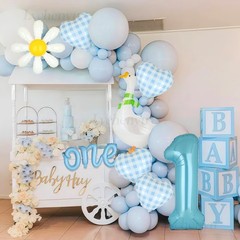 Silly Goose Decorations Walking Silly Goose Balloon Daisy Balloons Boys Baby …