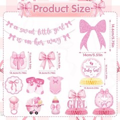 Pink Bow Baby Shower Decorations – 13Pcs a Sweet Little Girl is on Her Way Ba…