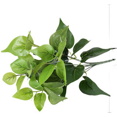Plastic Artificial Plant for Terrariums Reptile Habitats Hanging Climbing