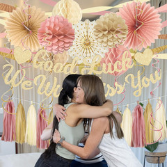 Boho Pink Farewell Party Decorations Women, Good Luck We Will Miss You Banner Cr