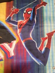 Spider-Man Happy Birthday Banner Flag 3′ X 5′ Large Spider-Gwen Miles Morales B5