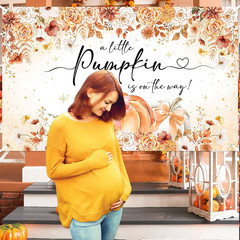 Pumpkin Baby Shower Backdrop a Little Pumpkin Is on the Way Banner Fall Baby Sho