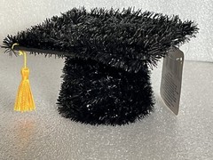 Tinsel and Plastic 5” Graduation Cap 3D Decoration Hanging Or Tabletop New