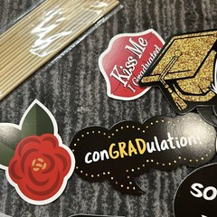 Graduation Party Photo Booth Props 10 Grad Decorations Sticks Adhesive USA New