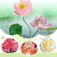 Crepe Paper Rolls Sheets Floral Wires Tapes Flower Making Craft Light 6 Colors