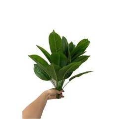 Rikyo 2 Bunches Artificial Bird of Paradise Plants 18″ Permanent Green