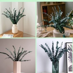 Eucalyptus for Shower 10 Pcs Hanging Dried 10 Pack Bundle