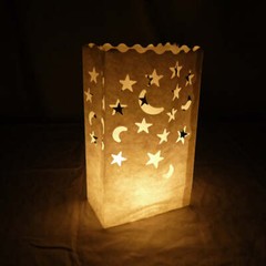 Quasimoon Star Moon Paper Luminaries / Luminary Lantern Bags Path Lighting (1…