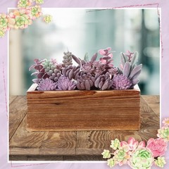 Solsew Assorted Artificial Succulent 7.87 x 3.94 x 2.76 inches, Purple