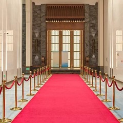 mosegor Red Carpet Runner 10 x 1 m Red Carpet Aisle Runner 5.5mm Thickness Red