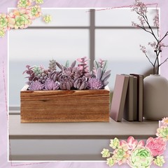 Solsew Assorted Artificial Succulent 7.87 x 3.94 x 2.76 inches, Purple