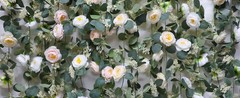 2 Pcs Pink 6.6Ft Artificial Eucalyptus Flower Garland with Fake Rose Flower Vine