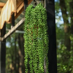 HARSOML 3PCS Artificial Succulents Hanging 27.5 x 5 x 5 inches, Green