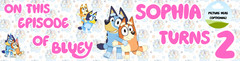 BLUEY BIRTHDAY BANNER CUSTOM PERSONALISED DECOR NAME PARTY PHOTO 60-120CM