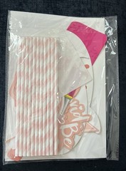 Smirly Bride Bachelorette Party Decor Kit Balloons, Photo Props, Veil, Banners