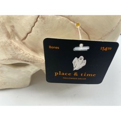 Place & Time Halloween Skull Decoration Prop Bones Horror Decor w/ Hinged Jaw