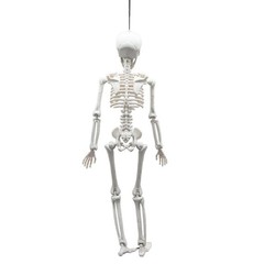 Wicked Costumes – Pose-able Skeleton (40cm) – Party Decoration