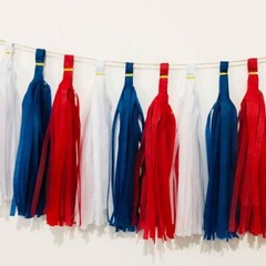 Blue Red and White Tissue Paper Tassels Party Tassel Garland Blue Red White