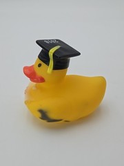 Graduation Rubber Ducky Duck with Cap, Tassel & Diploma 3″