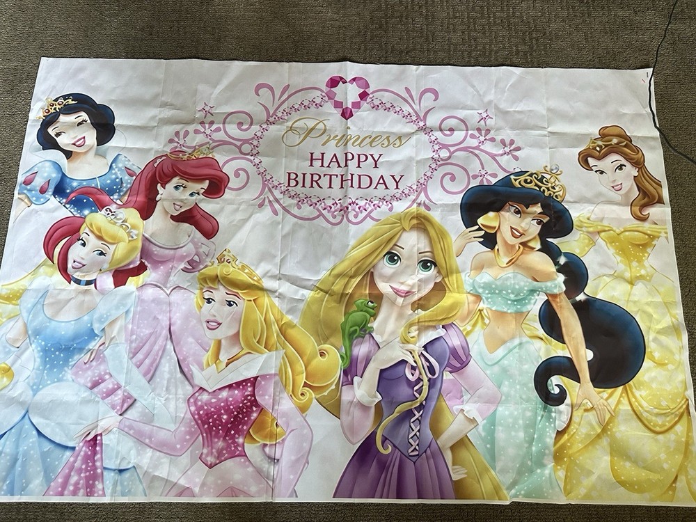 Disney Princess Birthday Party Backdrop Banner, Vinyl, 5 feet X 39 inches
