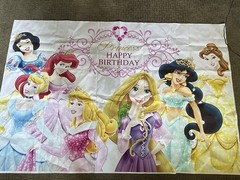 Disney Princess Birthday Party Backdrop Banner, Vinyl, 5 feet X 39 inches