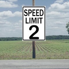 Speed Limit 2 Sign Two Fast Birthday Decor 2 Fast Birthday Decorations Funny …