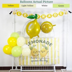 Lemonade Stand Supplies Kit with Lemonade Sign Banner and Lemon Balloons, Lemona