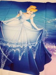 Cinderella Princess Birthday Party Supplies Party Backdrop Photo Background 5×3′
