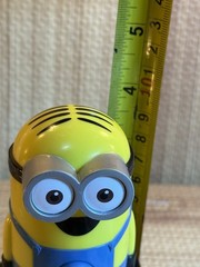 Black-Multicolor Minion-Birthday-Perfect/dp/B0946RZYWT Toy