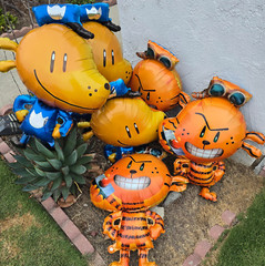 Dog Man Cat Kid Party Supplies happy birthday decoration cup plate balloon table