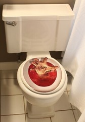 Gothic Halloween Prop-ZOMBIE GHOUL HAND TOILET TOPPER-Tattoo Bathroom Decoration