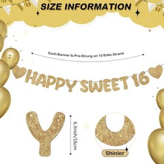 Pre Strung Happy Sweet 16 Banner Glitter Sixteenth Birthday Party Decorations…