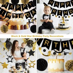 meowtastic Birthday Decorations Happy Birthday Banner with Honeycomb Balls | …