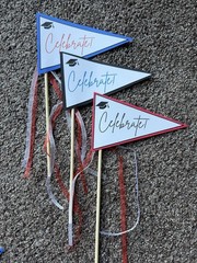 Graduation Centerpiece Pennant Flags (21) Red, Blue, Black, & White