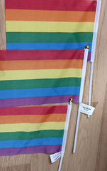 Rainbow Intersex Progress Pride Flag & Blue Star Sunglasses Party Supplies Lot