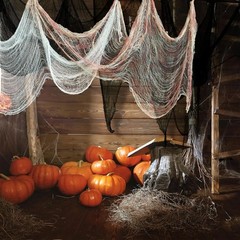 6Pcs Halloween Decoration Creepy Cloth Spooky Gauze Net 225 x 76CM Party decor