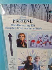Disney FROZEN 2 Scene Setter HAPPY BIRTHDAY wall poster backdrop Anna Elsa